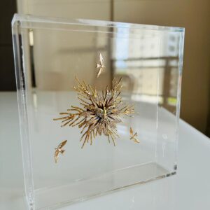 Escultura Espírito Santo com Caixa em Acrílico