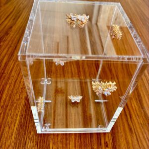 Cubo Borboletas