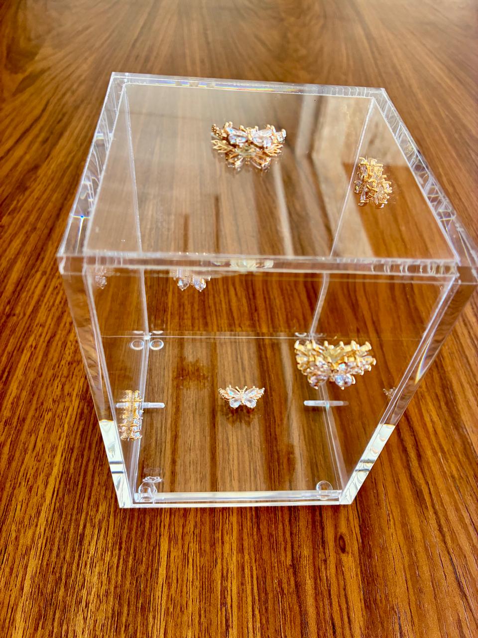 Cubo Borboletas